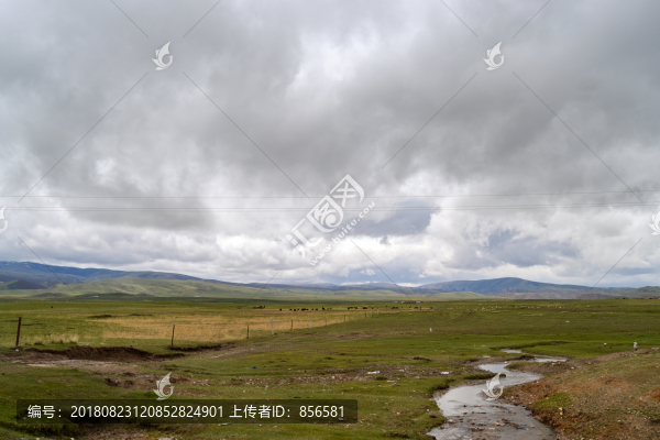 高原景色