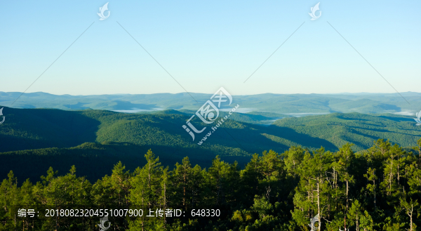 高山林海