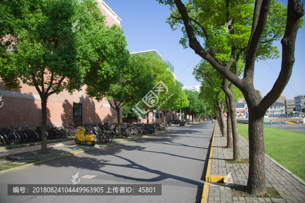 上海財(cái)大校園
