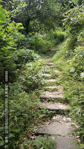山路