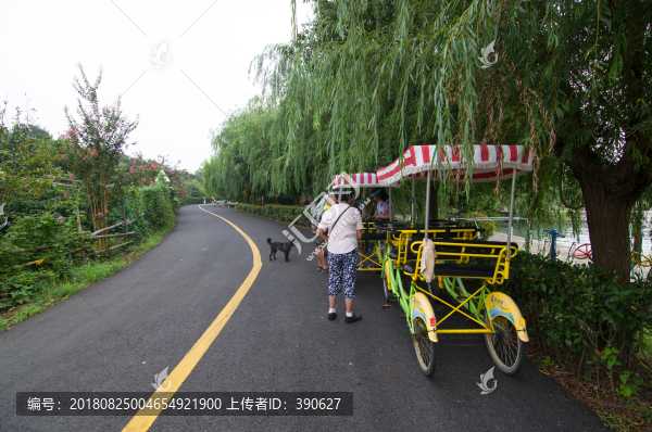 環(huán)島小路