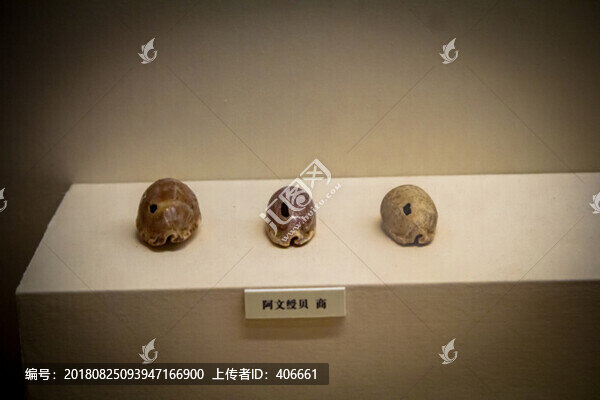 古代貝幣