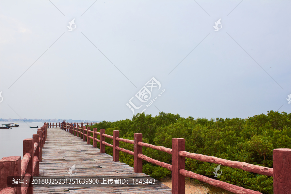 特呈島度假村