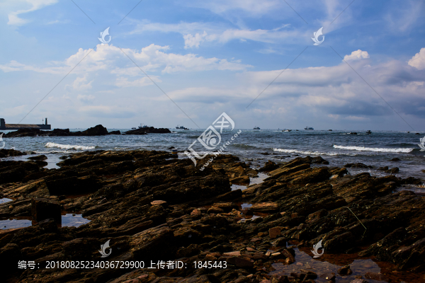 大海