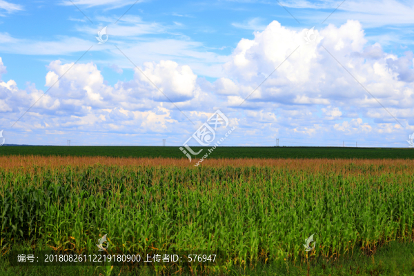 路上風(fēng)景