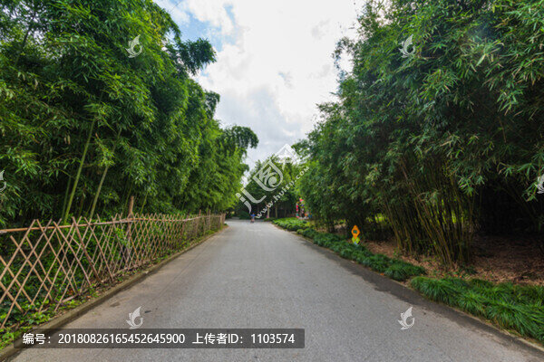 上海世紀(jì)公園11