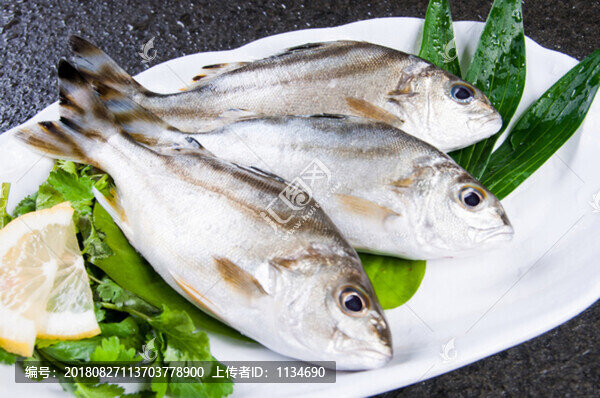 方豬魚