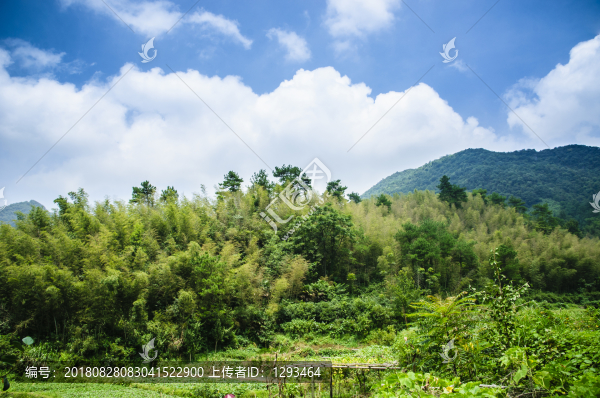 山嶺風(fēng)光