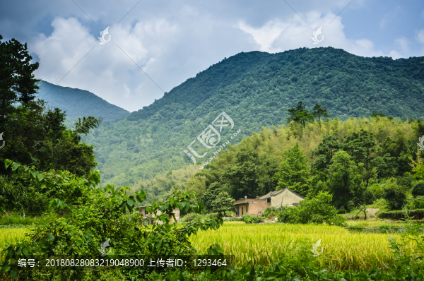 田野風(fēng)光