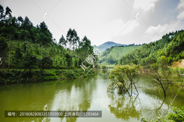 山林風(fēng)光