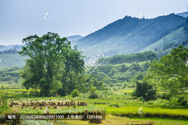 山野風(fēng)光