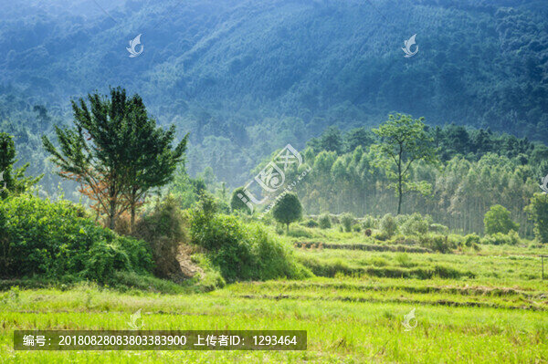 山野風(fēng)光