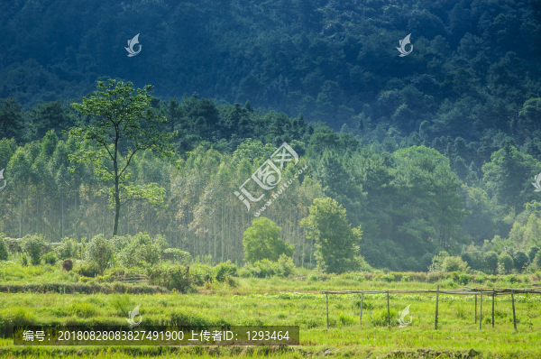 山野風光