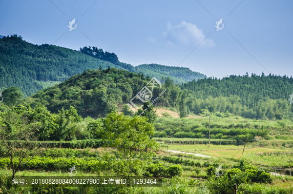 山野風(fēng)光