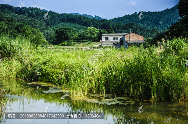 山野風(fēng)光