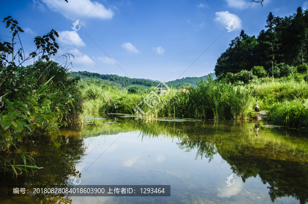 山野風(fēng)光