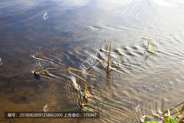 北極村風(fēng)光