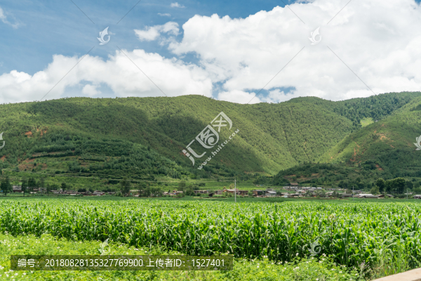遠(yuǎn)山