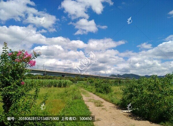農(nóng)村小路