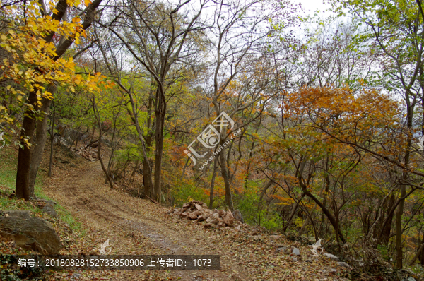 山路彎彎