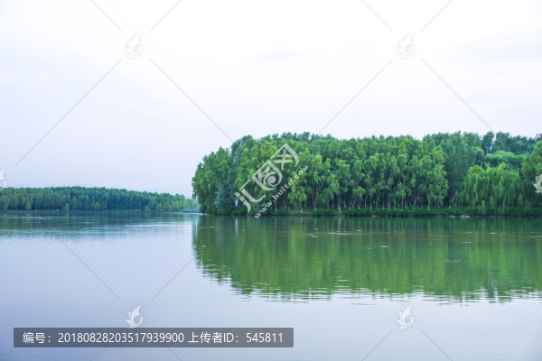 黃河濕地
