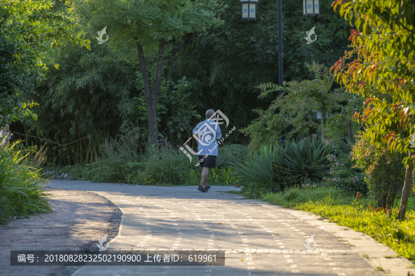 公園跑步的老人背影
