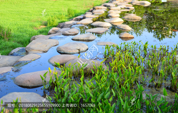 園林景觀