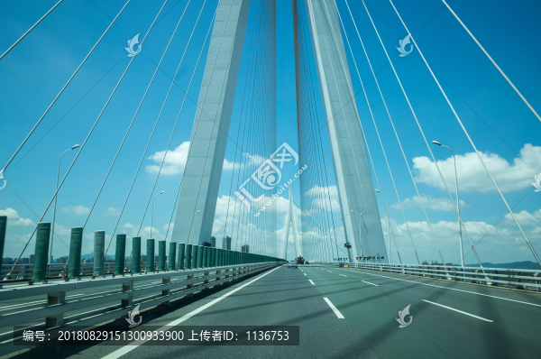 高速斜拉橋