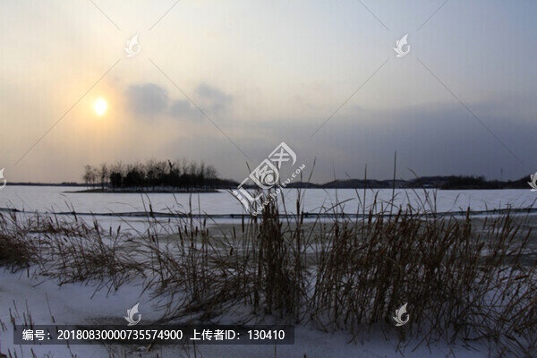 冬天的濕地公園