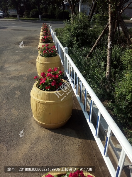 盆栽鮮花