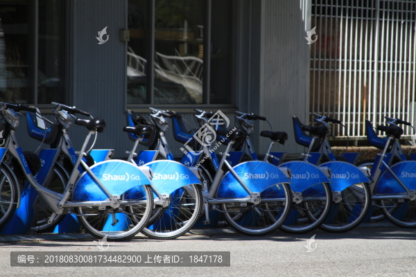 共享單車(chē)