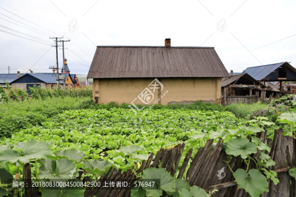 農(nóng)家院