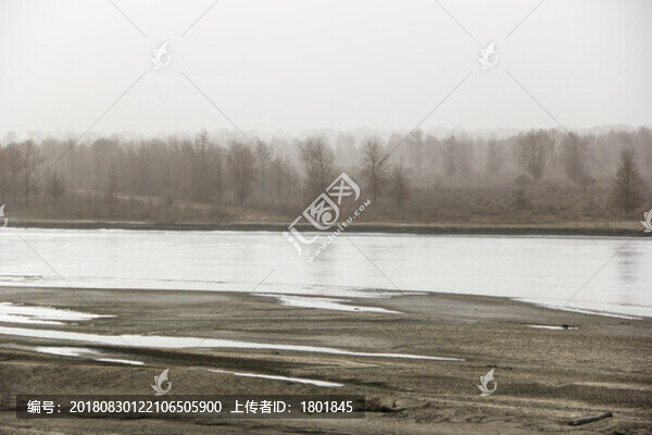 塔里木河