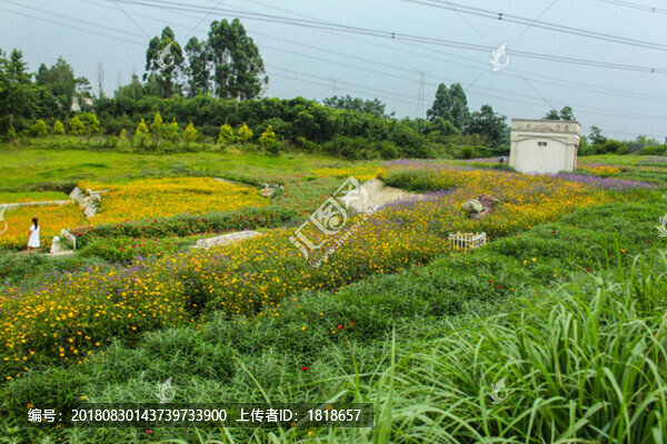 花田