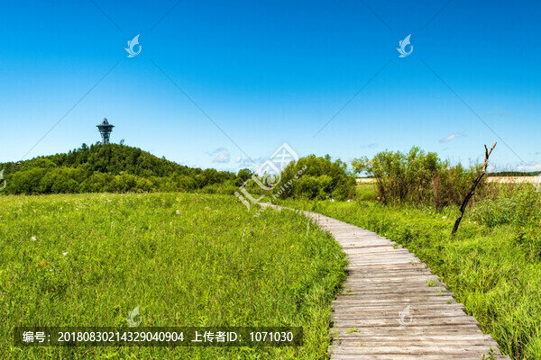 南甕河濕地