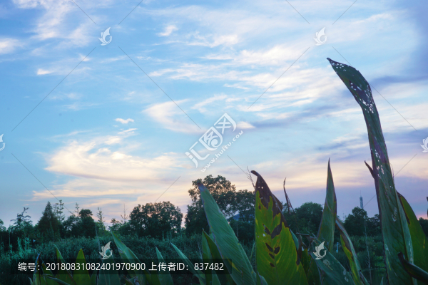 湖畔晚霞