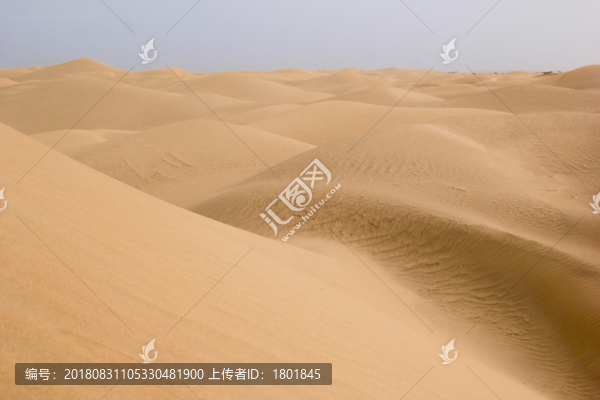 沙漠波紋