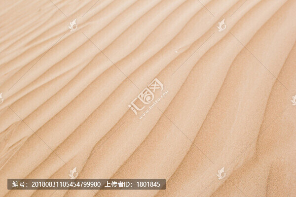 沙漠波紋