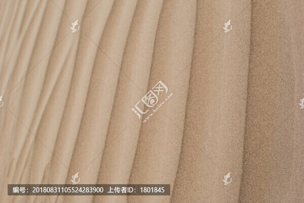 沙漠波紋