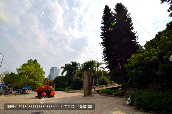風(fēng)景