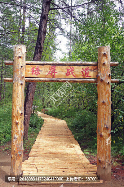 林間小路樹林棧道