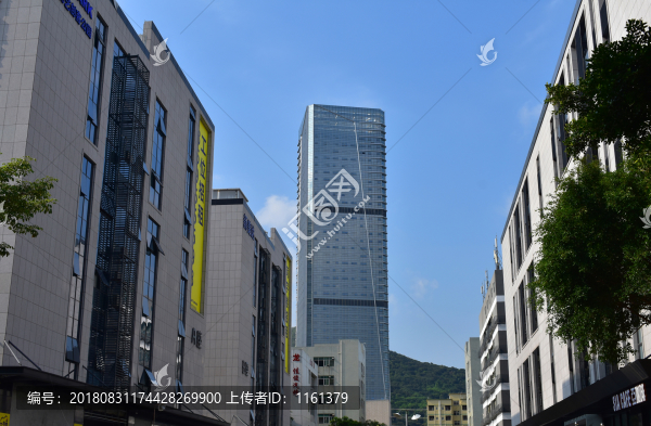 西麗