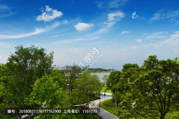 公園