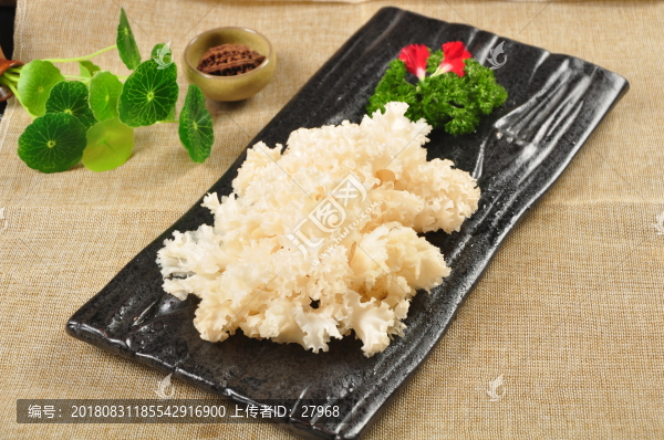繡球菌