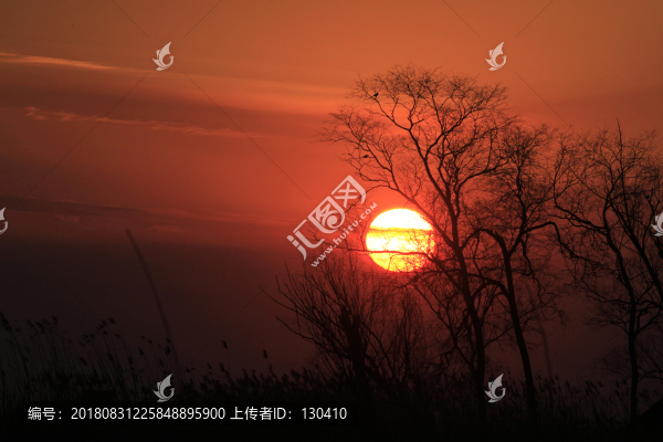 夕陽