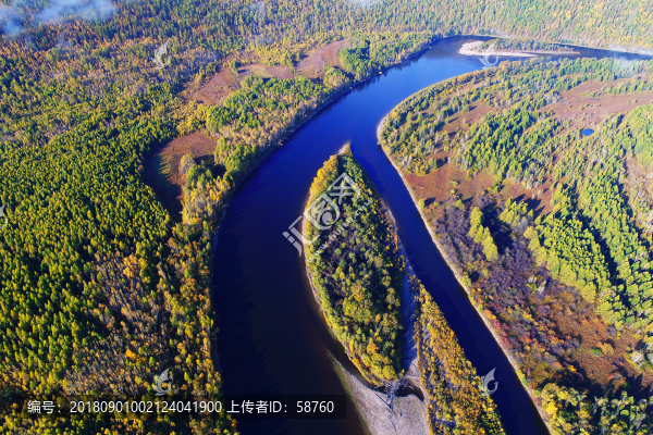 森林河河心島金色樹林