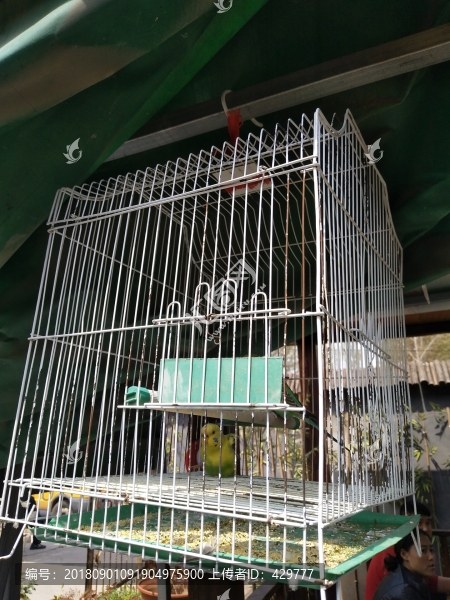 鳥籠