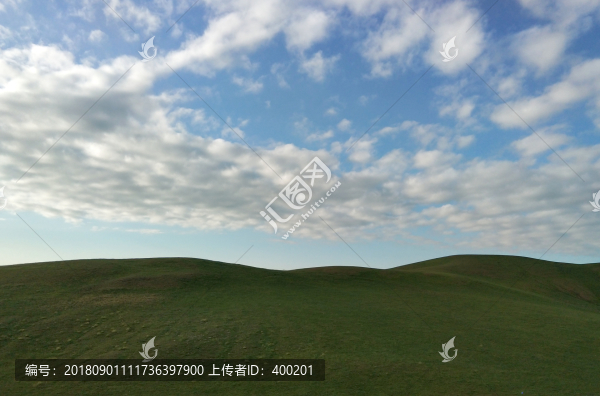 夏季草原風(fēng)光
