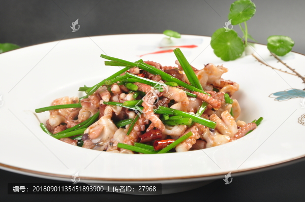 醬爆八爪魚