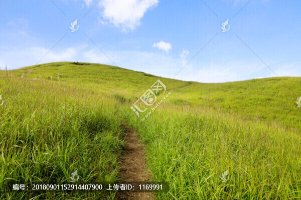 高山草場